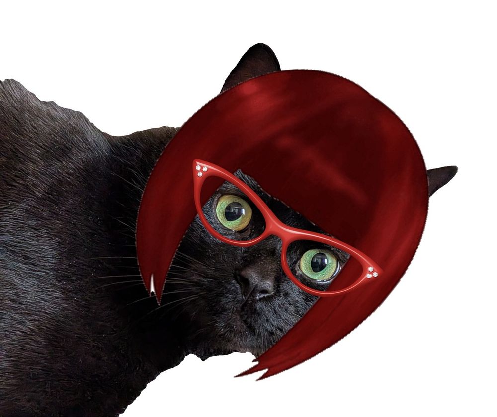 George, a black cat, donning a red bob wig and cat eye glasses