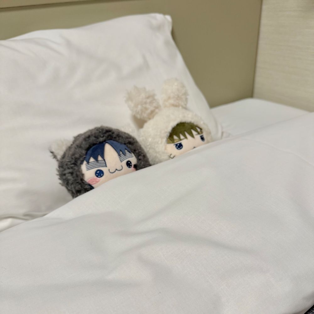 ふかふか布団で寝ているもちぴこ小平太ともちぴこ長次