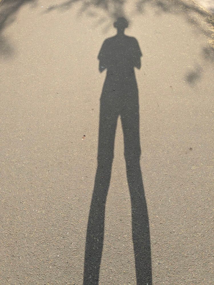 Shadow of myself this morning in the sun