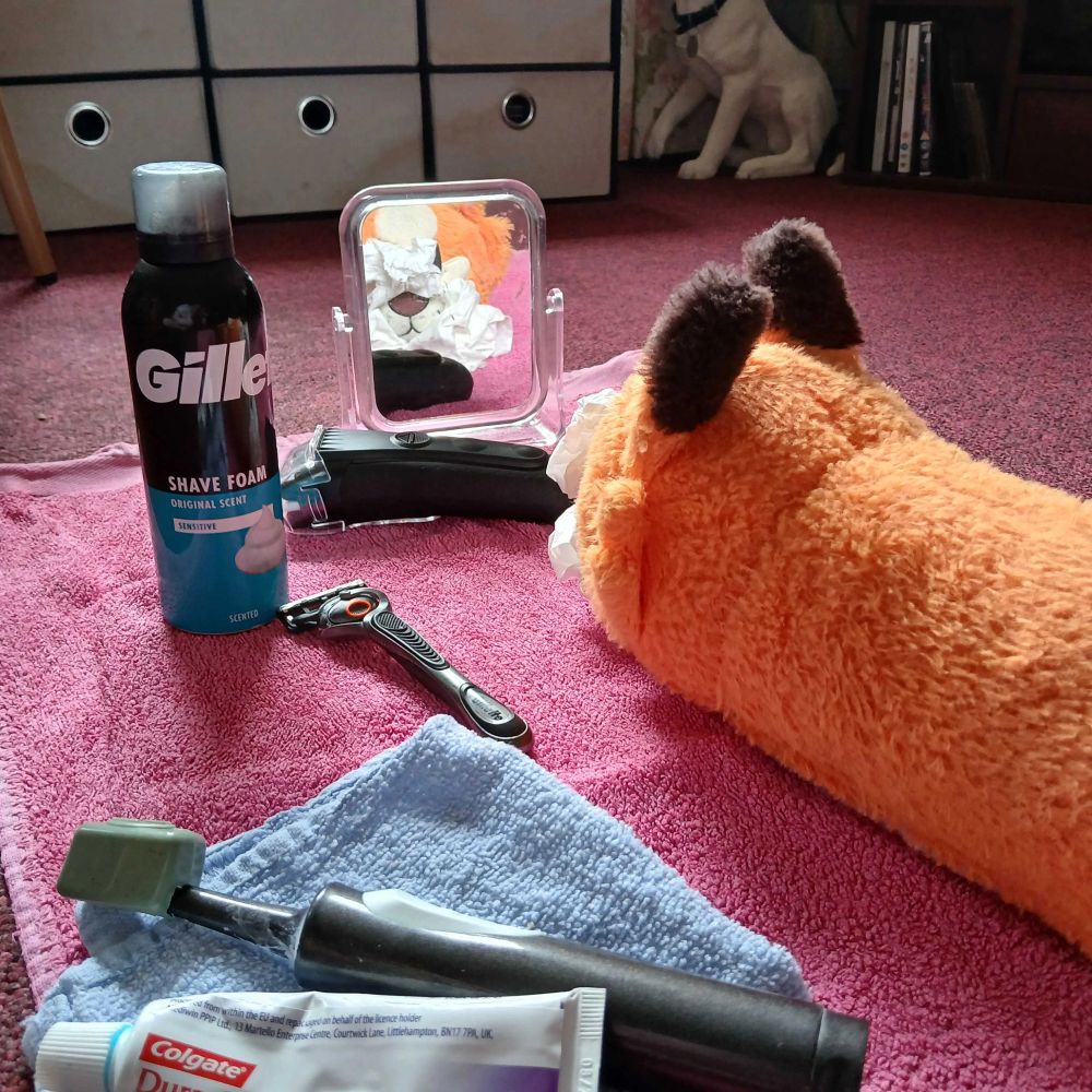 Picture of a Makeship pipefox laid out on a towel next to a pair of shavers, a bottle of shaving foam, a toothbrush and some toothpaste. In the reflection of a small desk mirror the plushie's face can be seen to have a bunch of scrunched-up tissue surrounding the muzzle to make it look like it's covered in shaving foam. In the background is a lifelike ornament of a dog with one paw raised that I'm only mentioning because I clarified its existence in the post body.