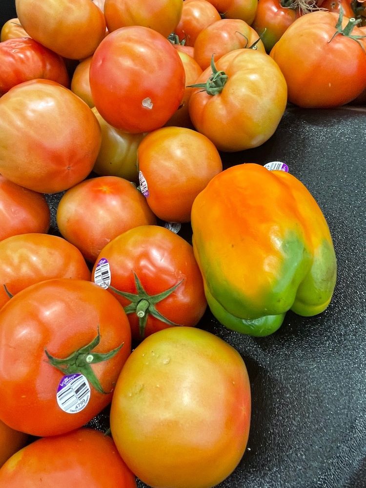 A photograph of a produce bin at a grocery store full of wintery pale tomatoes. On the side is something more oblong of almost the exact same color, kissed with green on the bottom—a bell pepper in disguise.