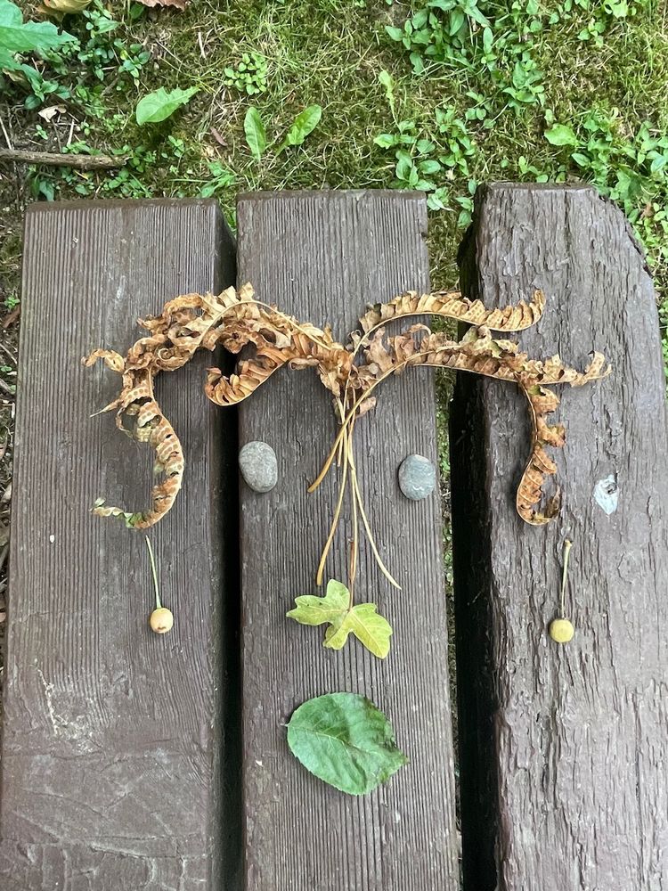 Photograph looking down on a well-loved brown park bench. The suggestion of a face has been made with a bouquet of dead, curly fern leaves for hair; two grey oval pebbles for eyes; a bright green leaf for a nose that meets the stems of the fern leaves in the center of the face; a round dark green leaf mouth; and two earrings made from white round berries still on their stems.
