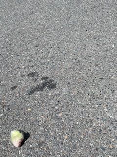 A doll head with a pouf of blonde hair on asphalt.