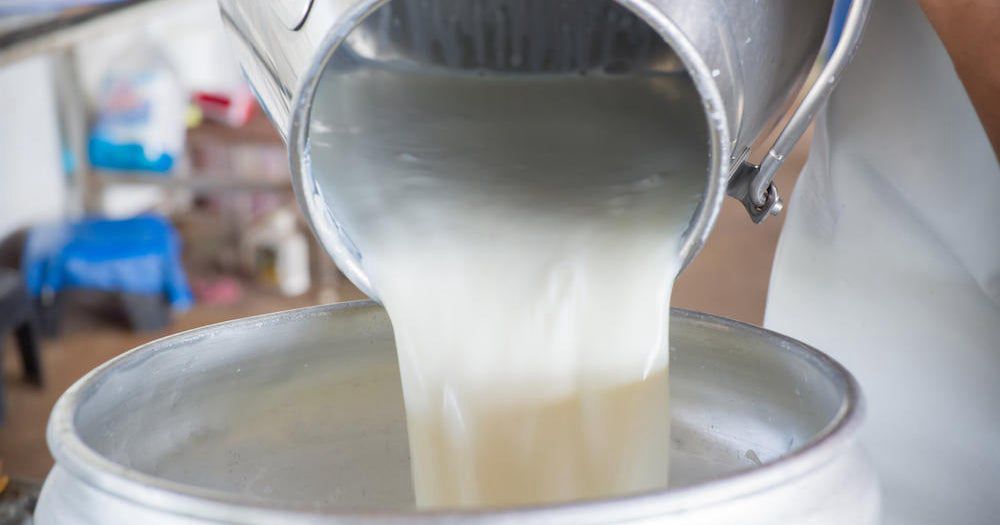 Florida health officials say 21 people, including six children, were sickened by E. coli and campylobacter bacteria linked to raw milk, and seven were hospitalized.