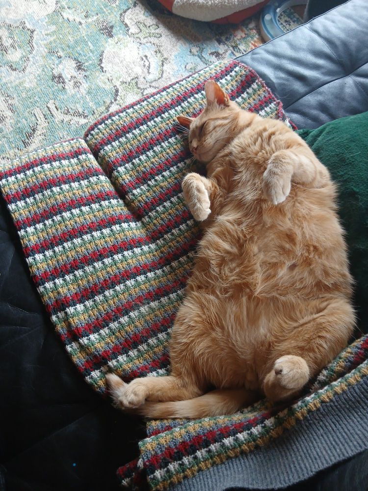 Large ginger cat sleeping on his back on a stripey throw on a black sofa, displaying his ample belly. His front paws are curled in the air.
