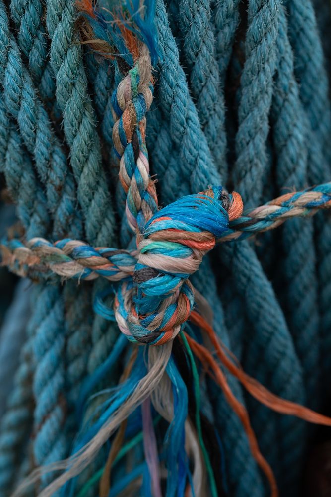 I took this image of a fishing rope while out looking for interesting plants or creatures along the sea on a trip in Northwest Scotland. This really caught my eye because of the textures and colours. I had a really fun time shooting it. 