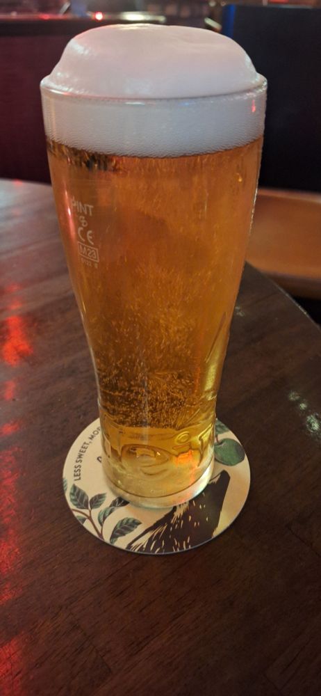 An exceedingly foamy pint of lager