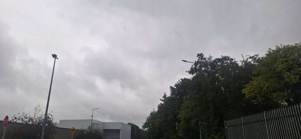 A grey start to the day
