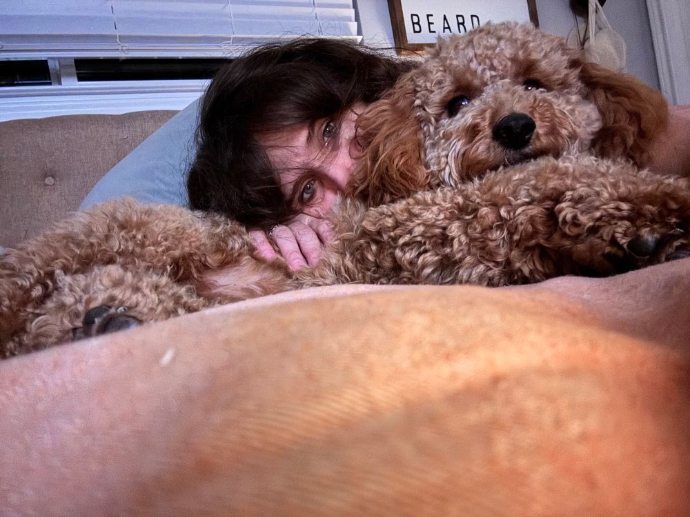 Golden doodle looking dog cuddling on a bed with what looks like a woman behind her 
