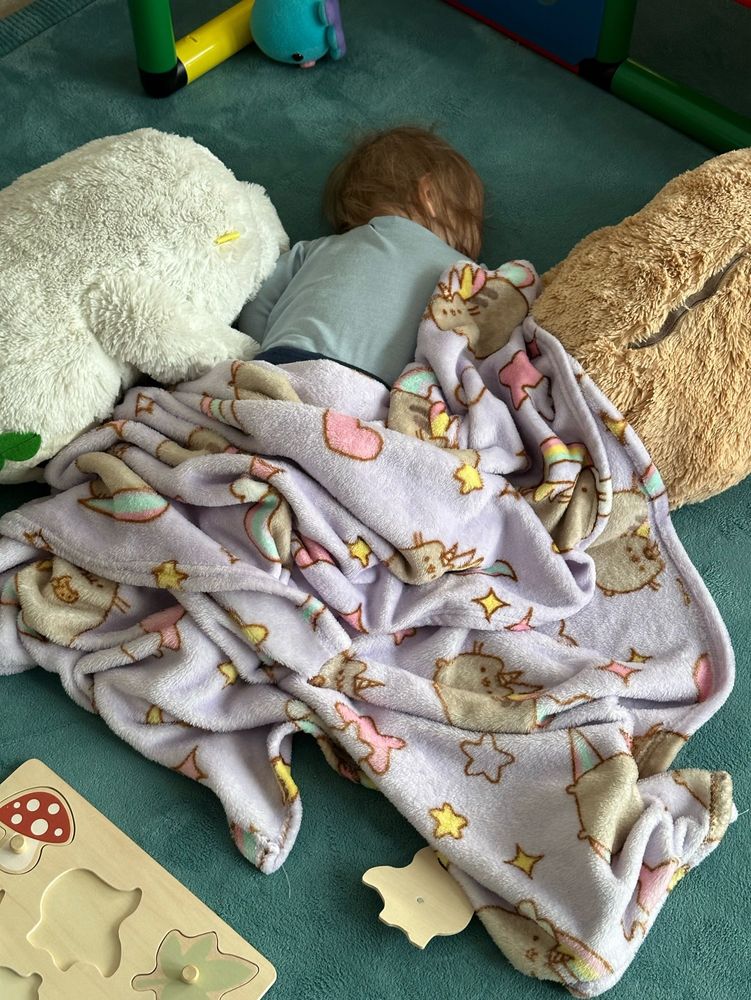 Schlafendes Bab zwischen zwei Kuscheltieren und Spielzeug auf einem Teppich. Mit einer fliederfarbenen Pusheen Decke drüber.