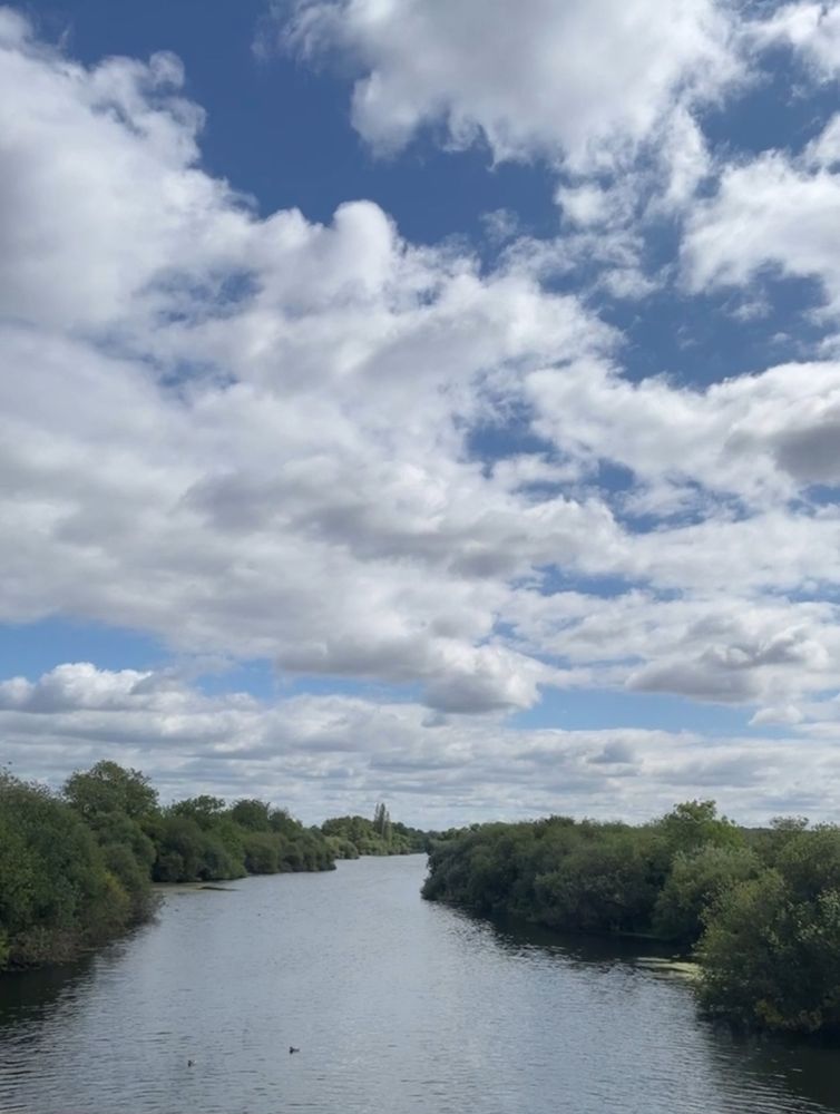 Blue sky with white cloud overcast. Green trees on either side of a river with ducks in the water.