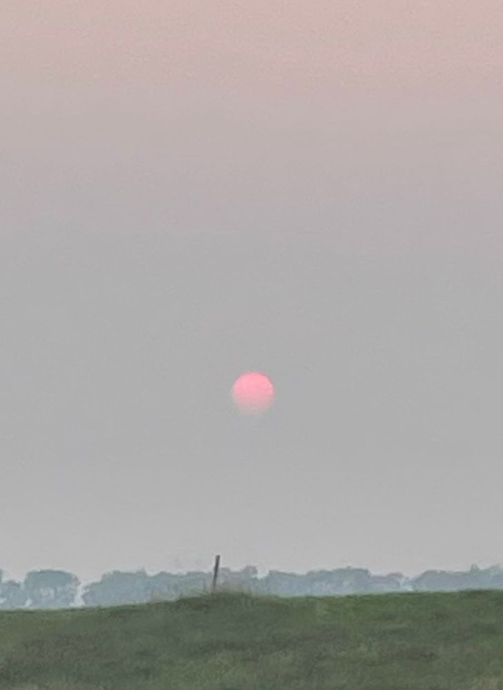 Sun in shades of plum and gray.