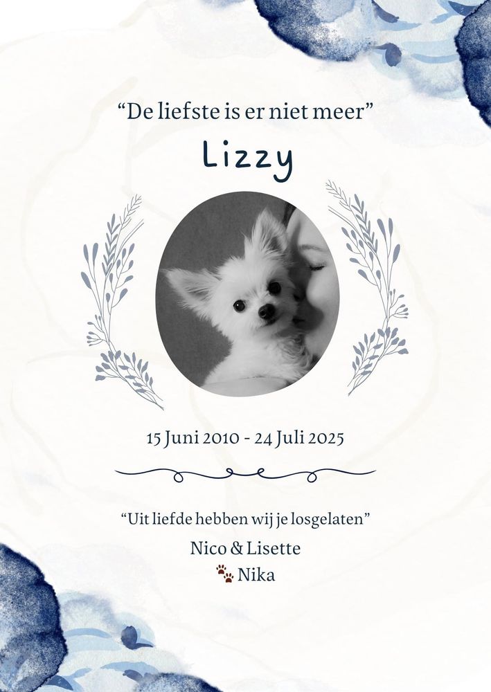 De liefste is er niet meer. Lizzy. 15 juni 2010, 24 juli 2025. Uit liefde hebben wij je losgelaten. Nico en lisette, en nika (hondenpootjes)