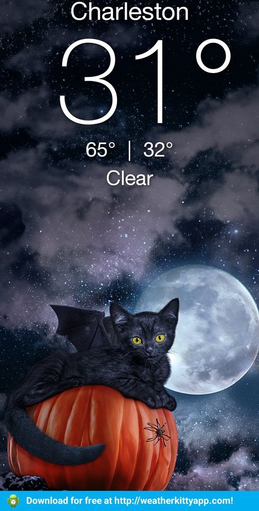 Weather Kitty app screen: Charleston 31° with a pic of black cat w bat wings on pumpkin and full moon & clouds