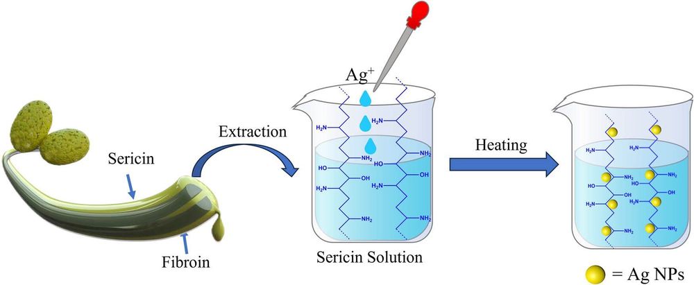 Synthesis of sericin-coated silver nanoparticles and their applications for the anti-bacterial finishing of cotton fabric
