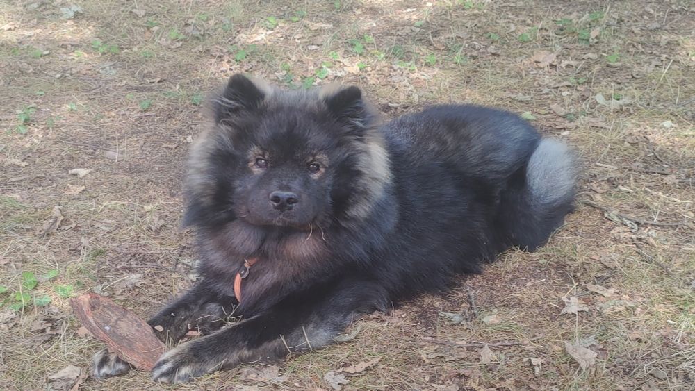 Gros bébé "à sa maman".