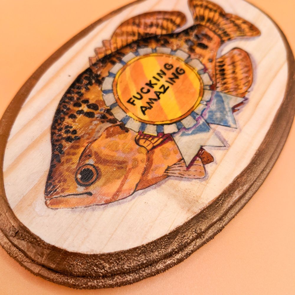 close-up of a plaque featuring a fish wearing a blue ribbon that reads 