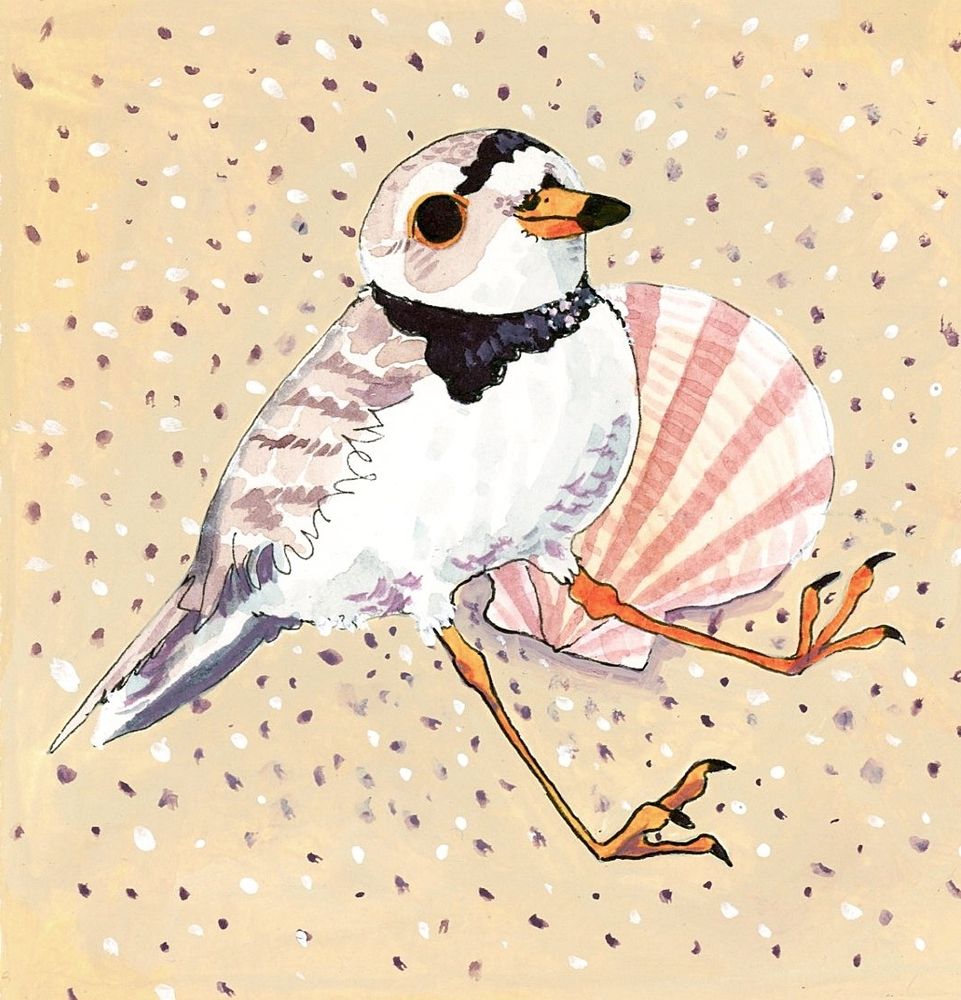 Nothing!!!! Anyways here is a small painting of a calm looking plover superimposed over a shell & sand :)