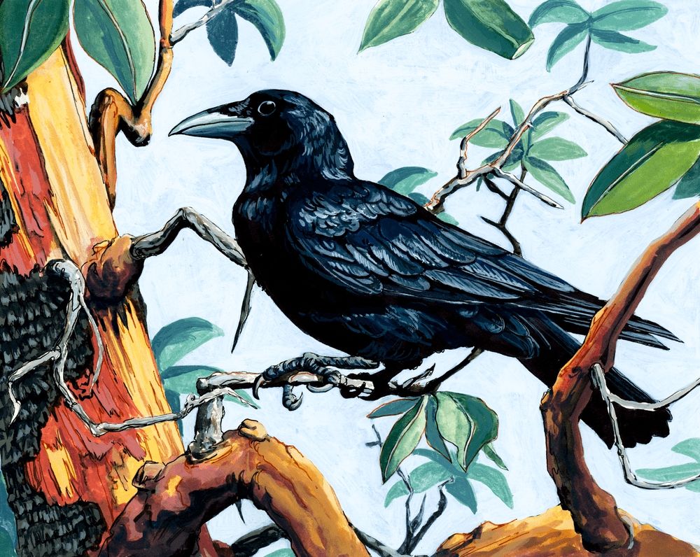 a traditional media painting of a crow in a madrone tree