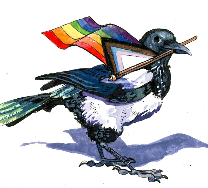 watercolor of a magpie waving a magpie-sized pride flag