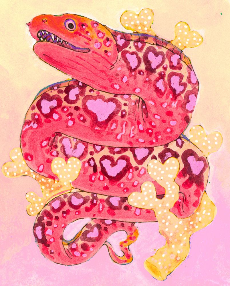 Its's a Moray! :) (watercolor of a pink moray eel with heart shaped spots)