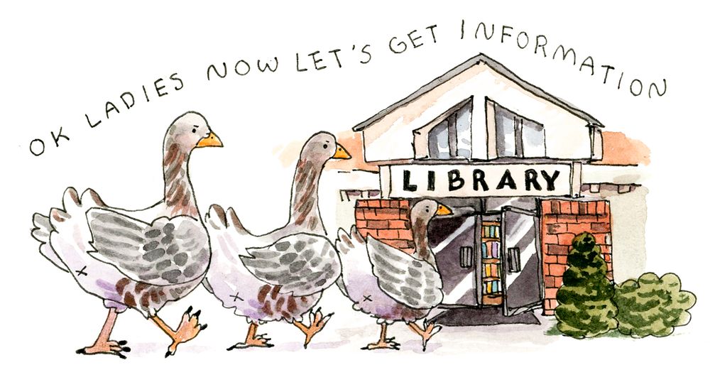 watercolor of 3 geese walking into a library. text above reads "okay ladies now let's get information"