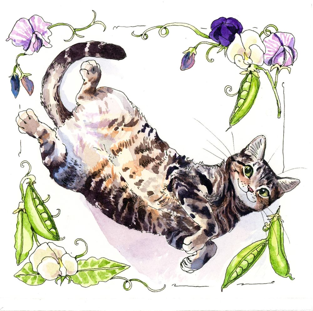 a watercolor of a tabby cat lying on it's back with a pleasant, happy expression, surrounded by pea pods and pea flowers