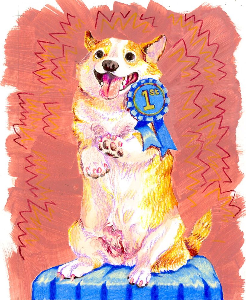 a mixed media piece of a corgi sitting up, a blue ribbon pinned to its neck