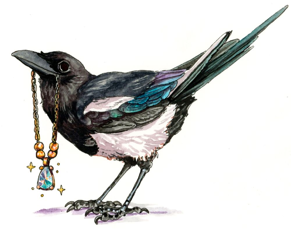 watercolor of a magpie looking pleased holding a shiny pendant