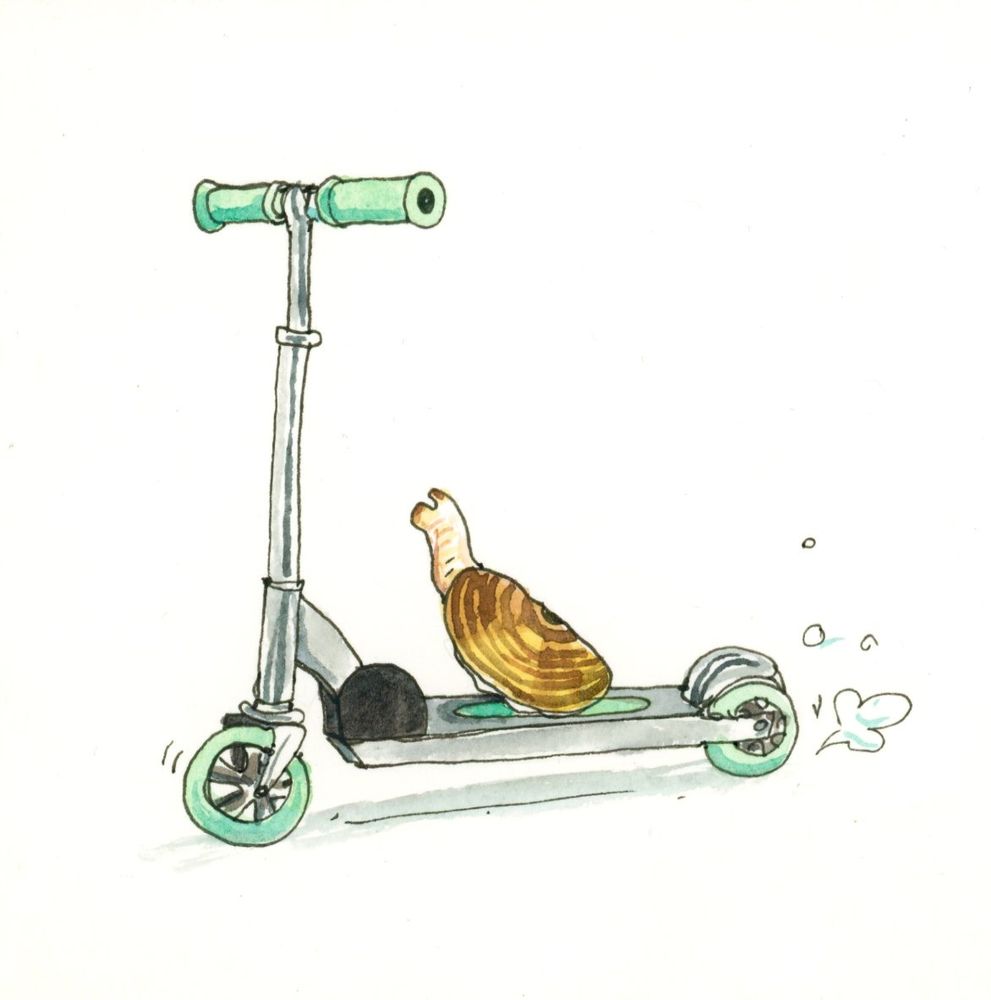 a small watercolor of a razor clam riding a razor scooter