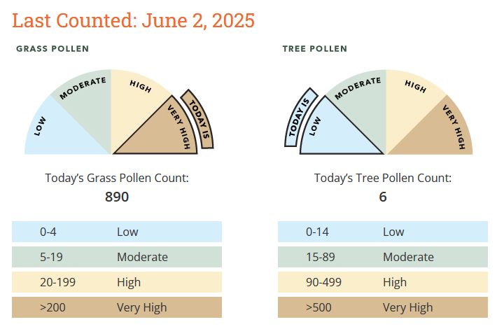 Eugene, Oregon, pollen count shown as 890 for grass pollen and 6 for tree pollen.  Anything over 200 for grass pollen is "very high," which may explain why 27 can't breathe very well, is wearing an N-95 mask, and is calling her doctor for more meds.