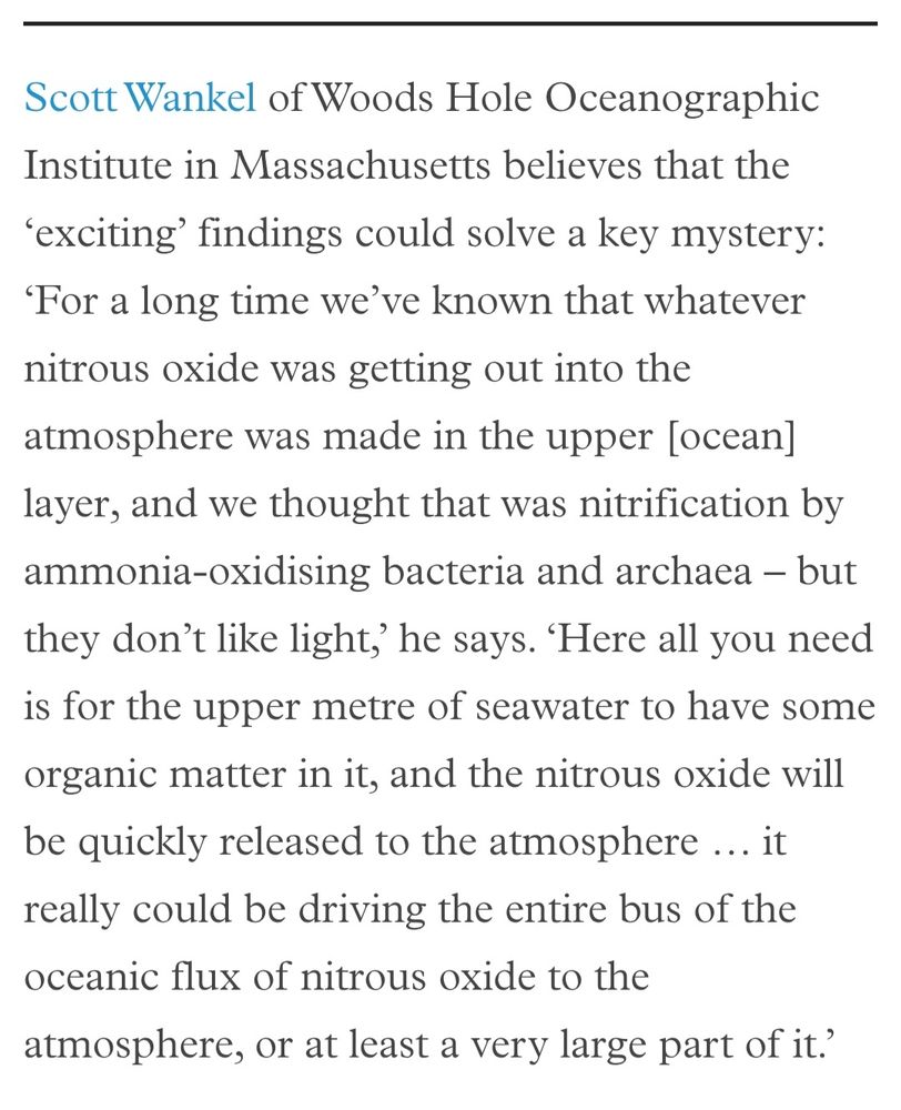 Scott Wankel of Woods Hole Oceanographic Institute in Massachusetts believes that the ‘exciting’ findings could solve a key mystery: ‘For a long time we’ve known that whatever nitrous oxide was getting out into the atmosphere was made in the upper [ocean] layer, and we thought that was nitrification by ammonia-oxidising bacteria and archaea – but they don’t like light,’ he says. ‘Here all you need is for the upper metre of seawater to have some organic matter in it, and the nitrous oxide will be quickly released to the atmosphere … it really could be driving the entire bus of the oceanic flux of nitrous oxide to the atmosphere, or at least a very large part of it.’