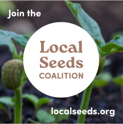 Local Seeds Coalition logo and localseeds.org address on background of bean seedlings closeup.
