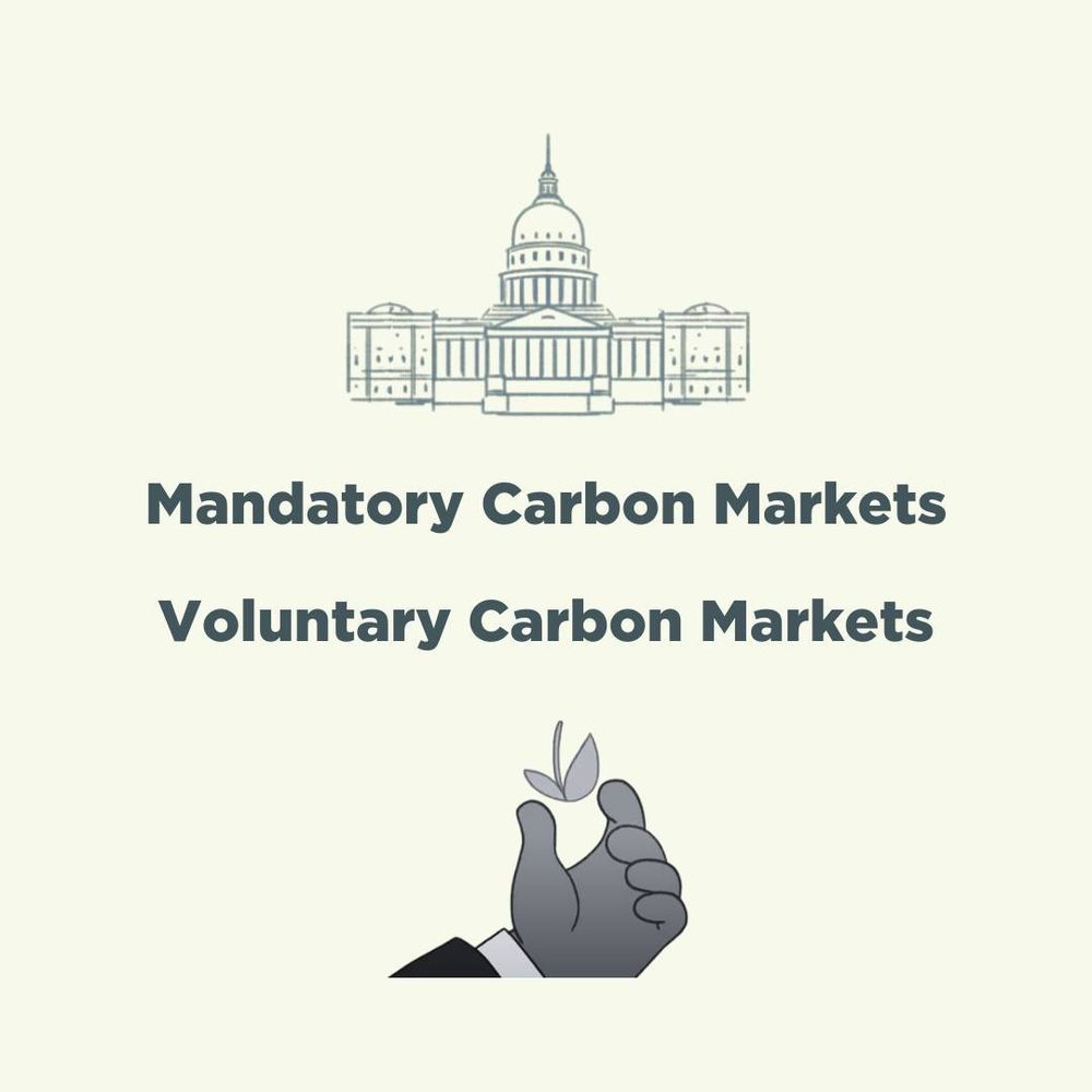 Illustration comparing Mandatory and Voluntary Carbon Markets, with a government building icon above the words and a hand holding a small plant below.