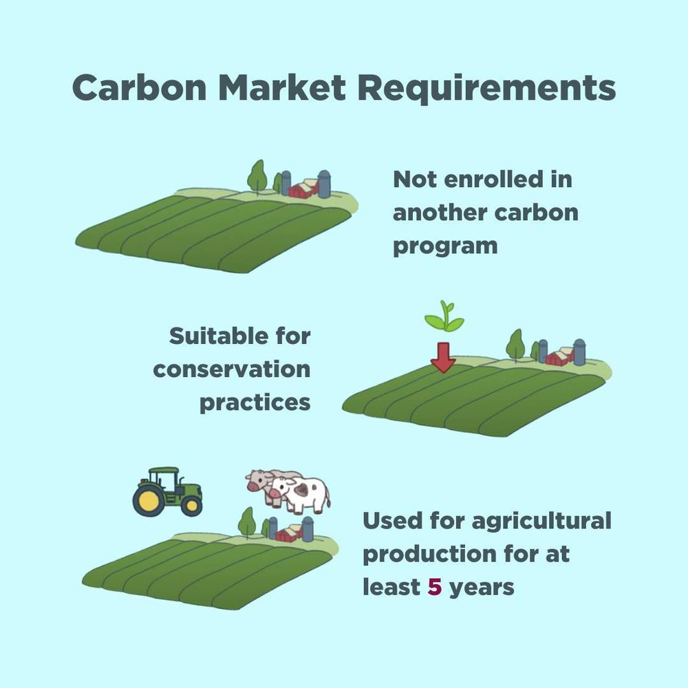 Graphic that reads "Carbon Market Requirements with illustrations of three green crop fields. The top left field has the words, "Not enrolled in another carbon program". The center right field has an arrow pointing at the crops with an image of a plant above the red arrow, with the words to the left reading, "Suitable for conservation practices". At the bottom left is another field with an illustration of a tractor and two cows with the words to the right reading, "Used for agricultural production for at least 5 years".