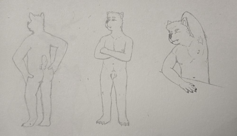 three sketches of Kaz, my fursona, in different positions