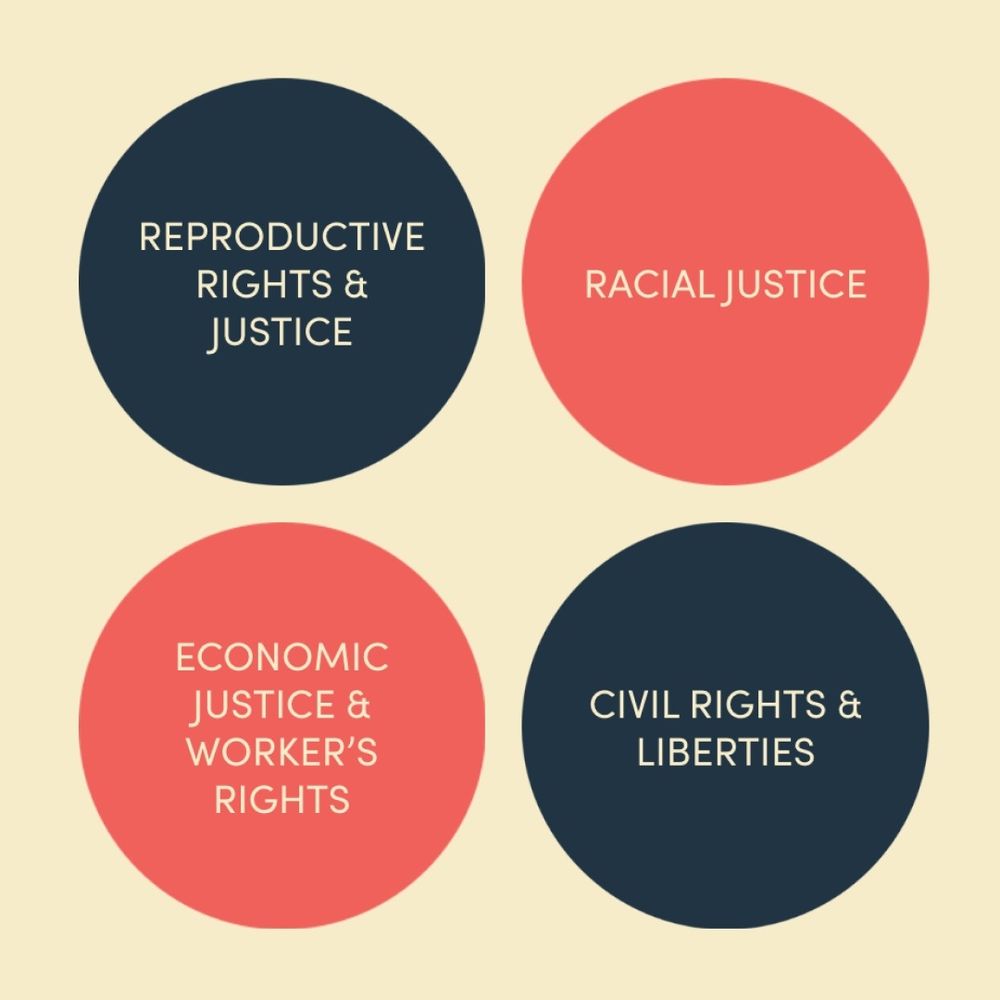 Reproductive Rights and Justice racial Justice economic Justice and workers' rights civil rights and liberties graphic