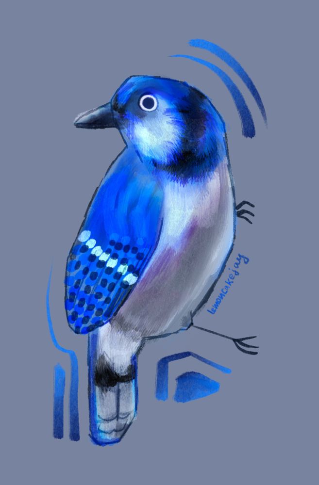 A digital illustration of a blue jay