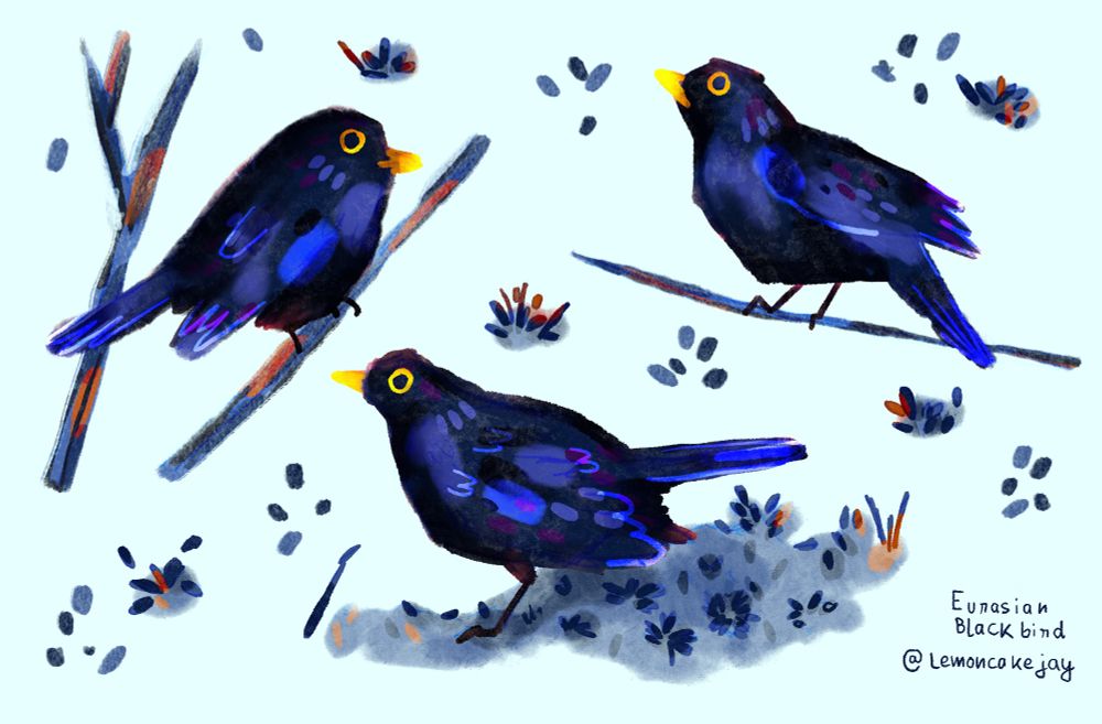 A digital illustration of three different Eurasian blackbirds. It is set on a light blue background. The birds are dark blue with purple and orange highlights. Two of them are sitting on branches, while the last one is in the middle of the grass. There are details of grass leaves, all in dark blue hues with some orange highlights.