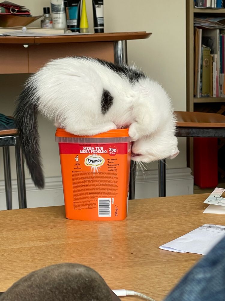 Black and white kitten failing to open a big box of Dreamies