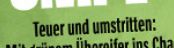 Ausschnitt aus einem Spiegel-Cover auf dem steht "Teuer und umstritten:"