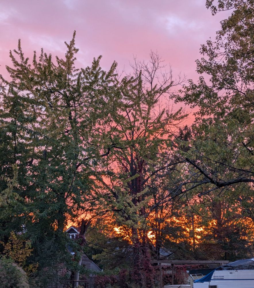 Pale blue sky, pink tinted clouds, and a deep orange sunset. In the foreground are trees partially obscuring the sky.