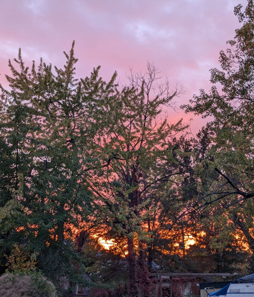 Pale blue sky, pink tinted clouds, and a deep orange sunset. In the foreground are trees partially obscuring the sky.