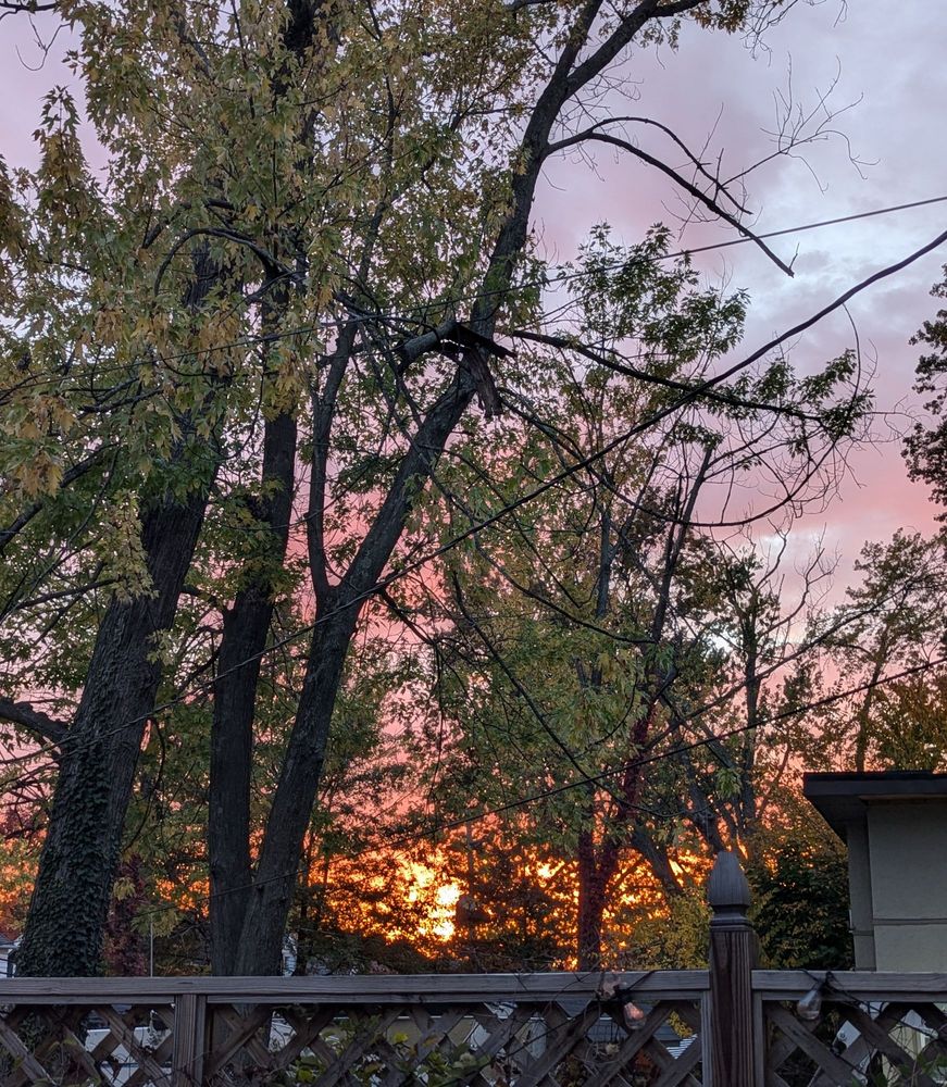 Pale blue sky, pink tinted clouds, and a deep orange sunset. In the foreground are trees partially obscuring the sky.