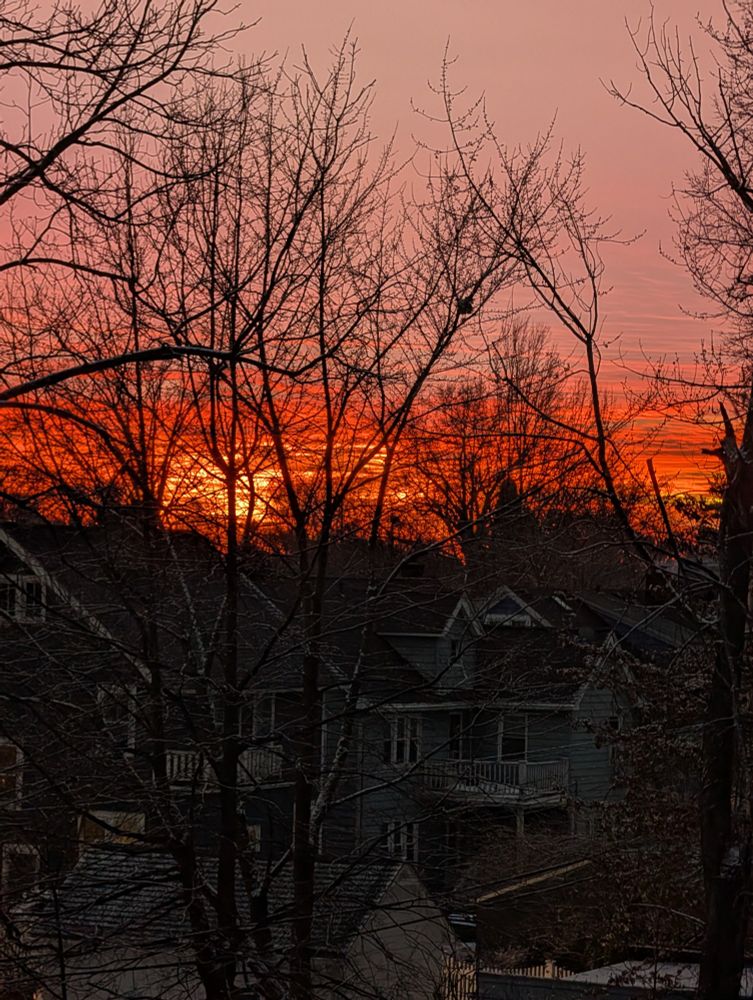 A sunset looking like a sky on fire. The image is pale pink at the top becoming more intense the lower down. In the middle the sky is a brilliant orange. In the foreground are trees and houses shaded by the sunset. There is a dusting of new snow on the ground.