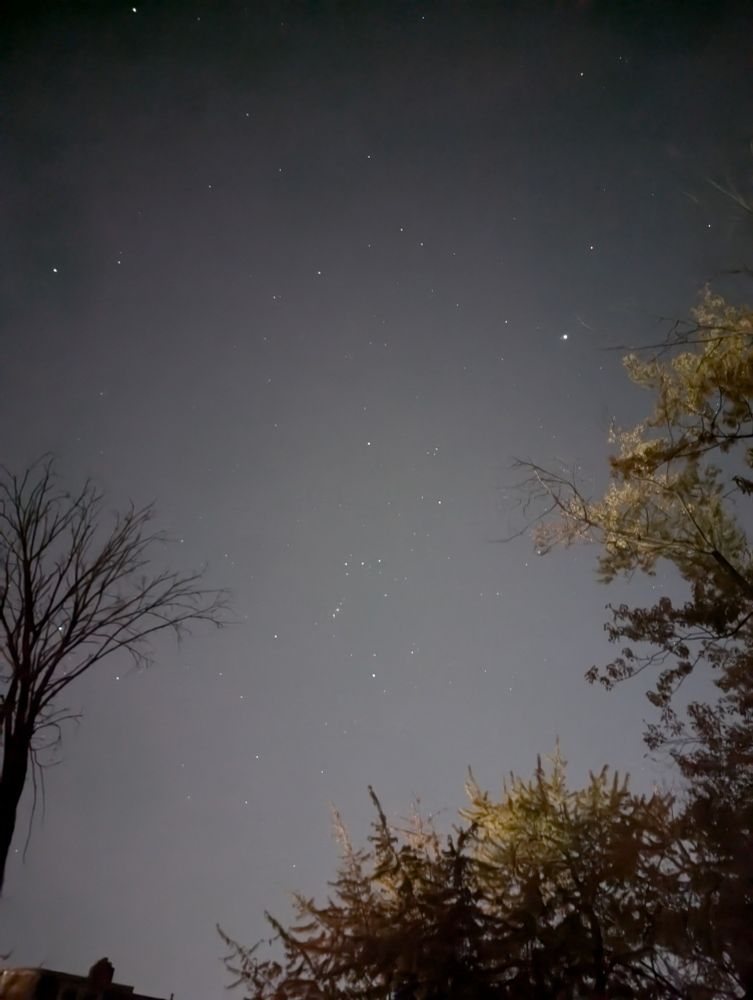 Early morning sky with many winter stars, including the constellation Orion, visible.