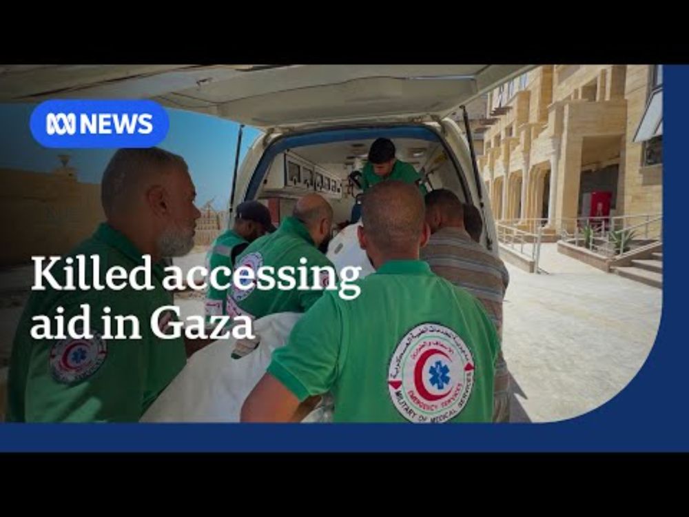 At least 80 Palestinians killed accessing aid in northern Gaza: Distressing images | ABC NEWS