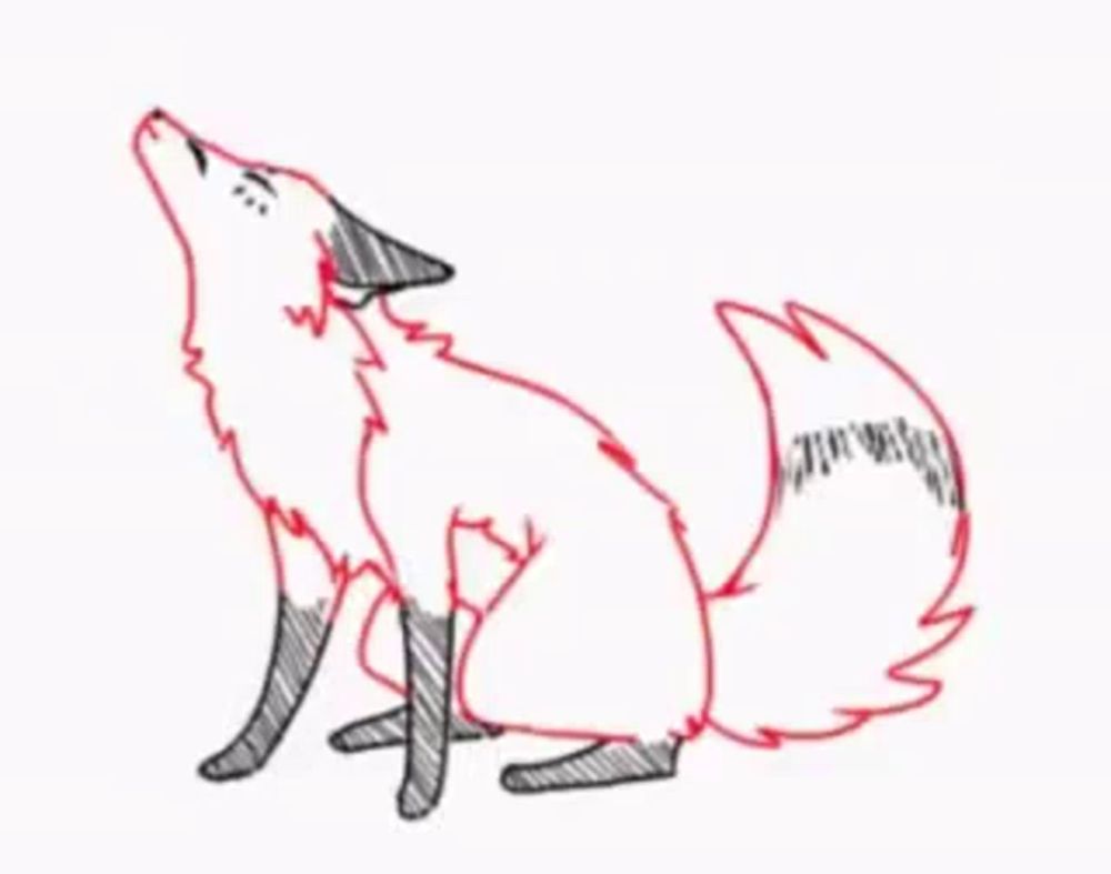 a drawing of a fox with a long tail