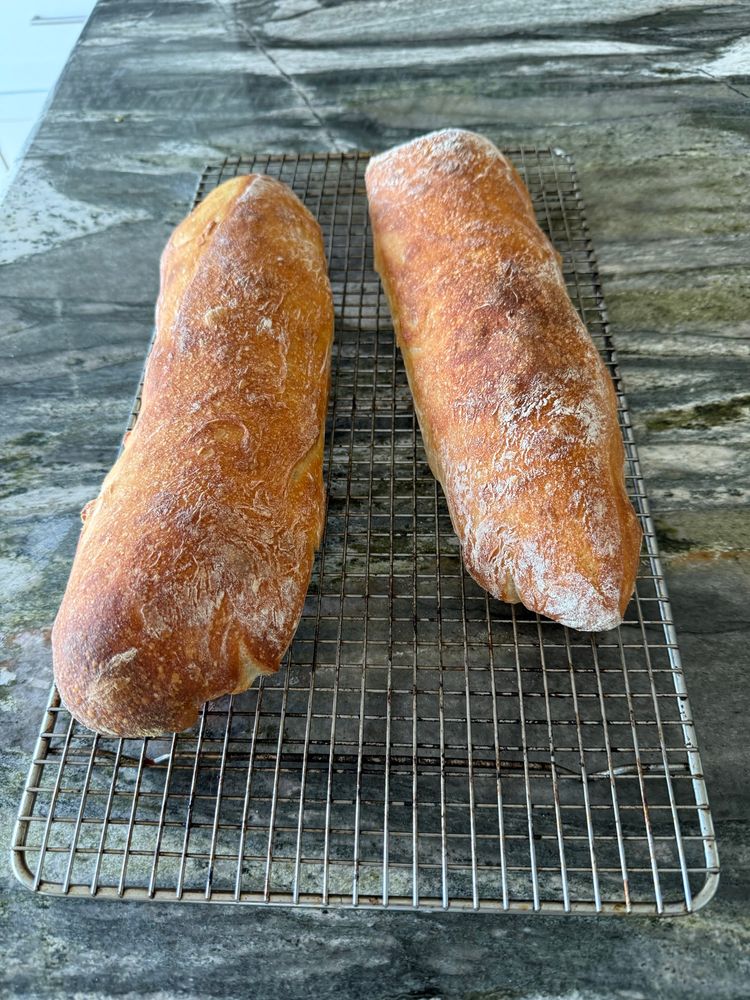Two freshly baked ciabatta loaves 