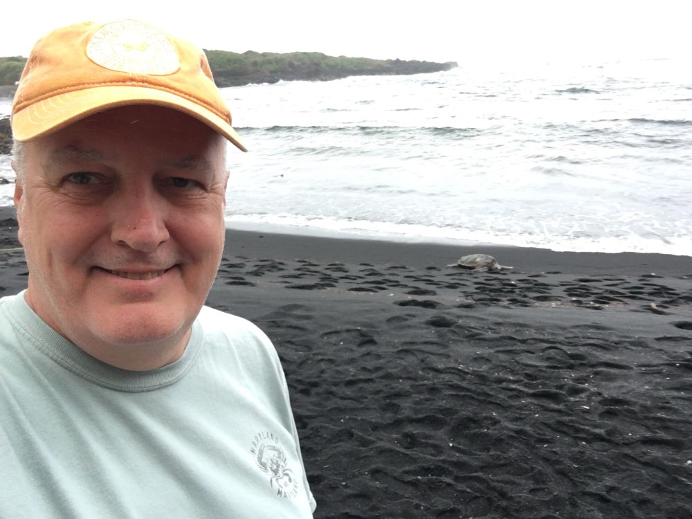 I’m wearing an orange ball cap on a black sand beach in Hawaii with a turtle in the background.